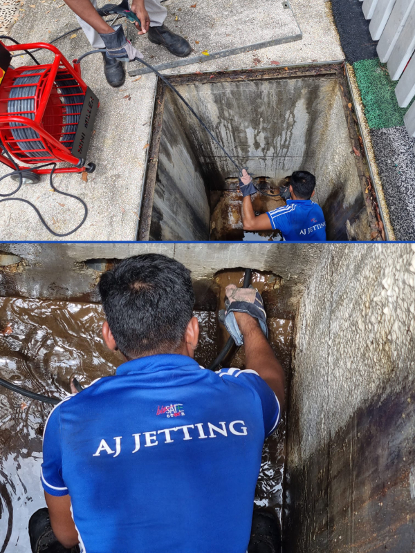 Rain water choke clear, root choke clear